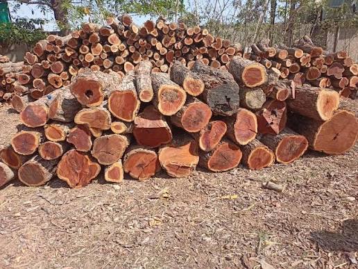 Khair Wood